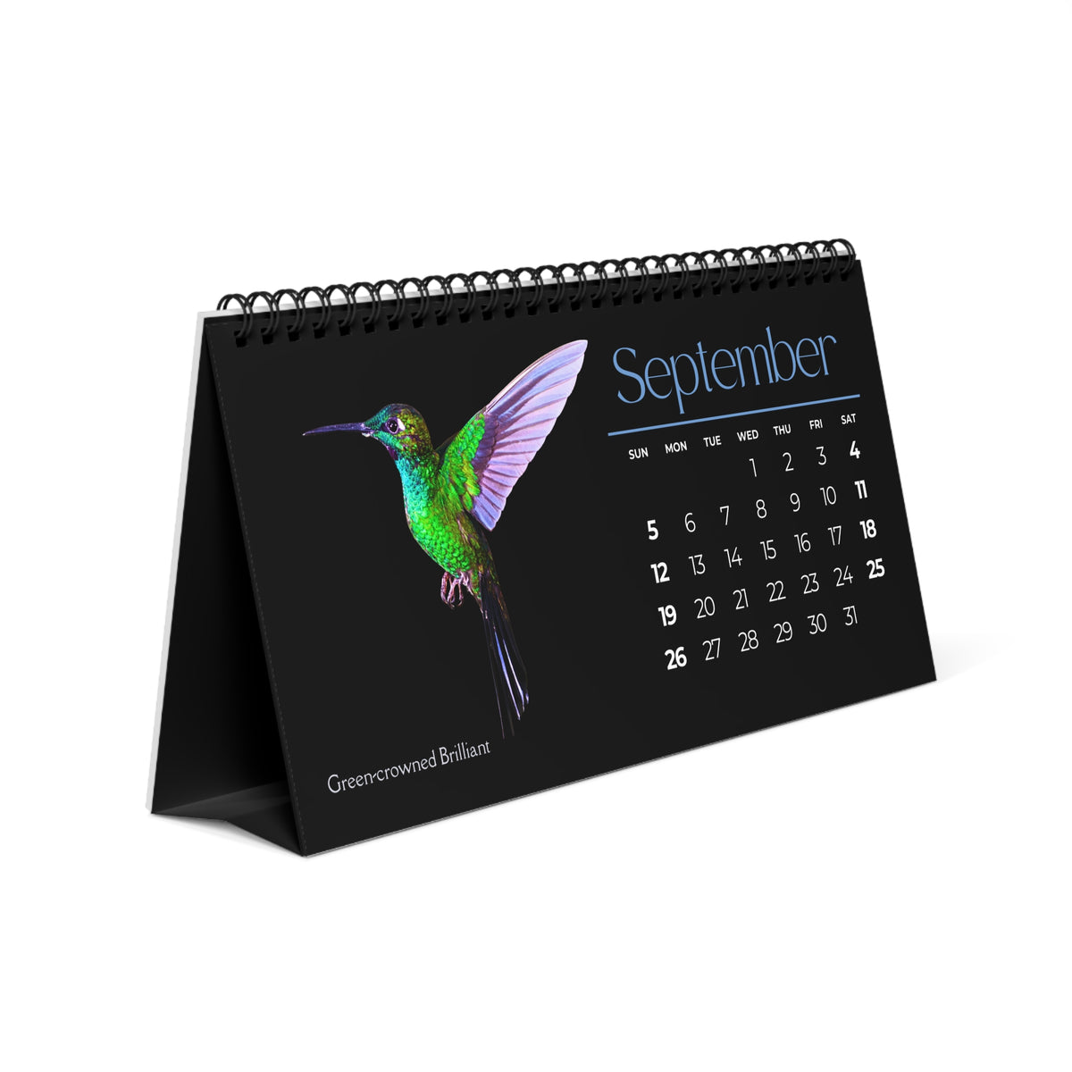 Real Hummingbirds of 2027 Desktop Calendar