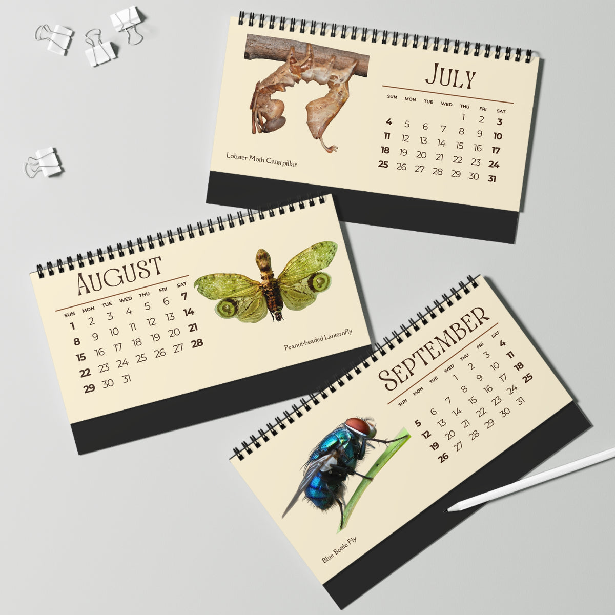 Incredible Insects of 2027 Desktop Calendar