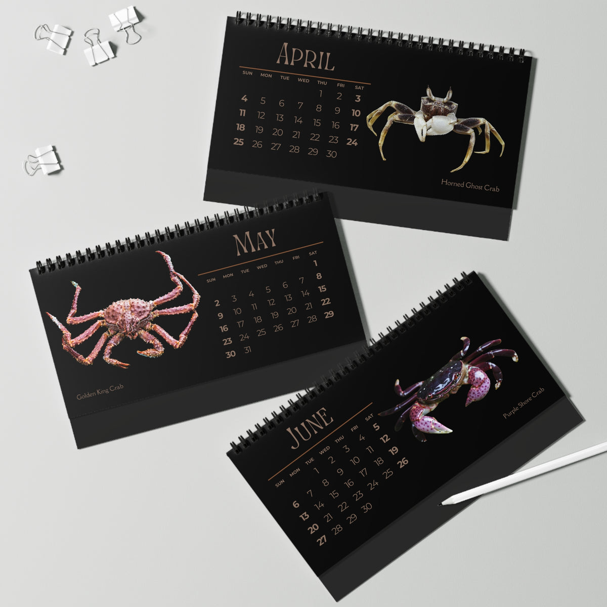 Captivating Crabs of 2027 Desktop Calendar