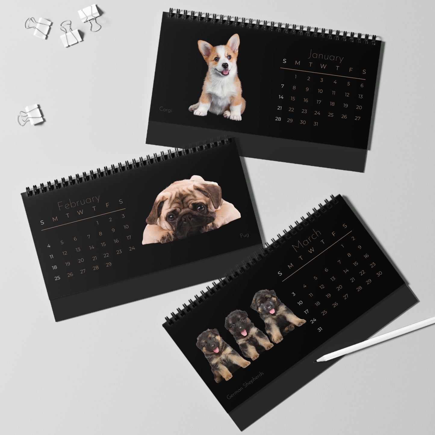 Real Puppies of 2024 Desk Calendar