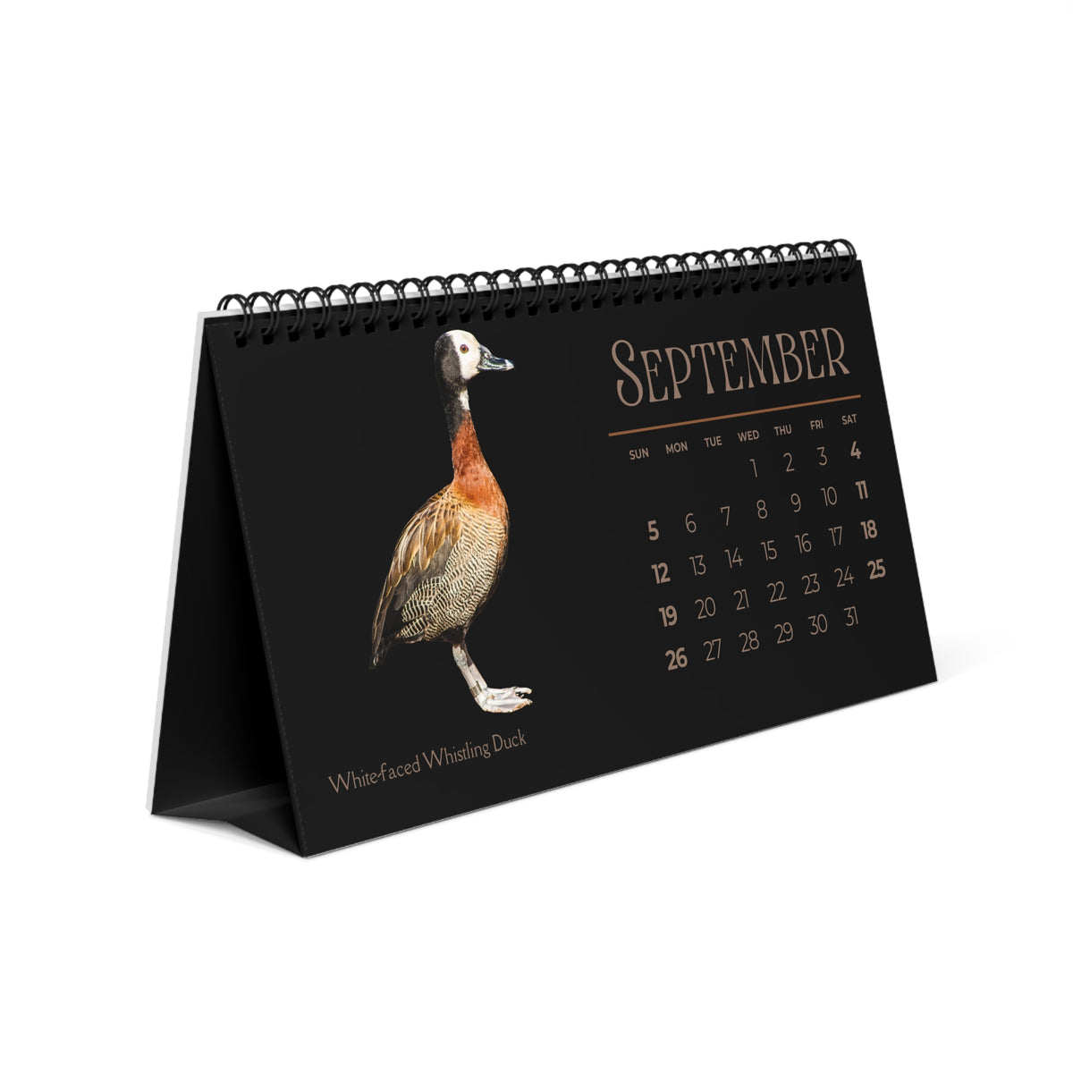 Dapper Ducks of 2027 Desktop Calendar
