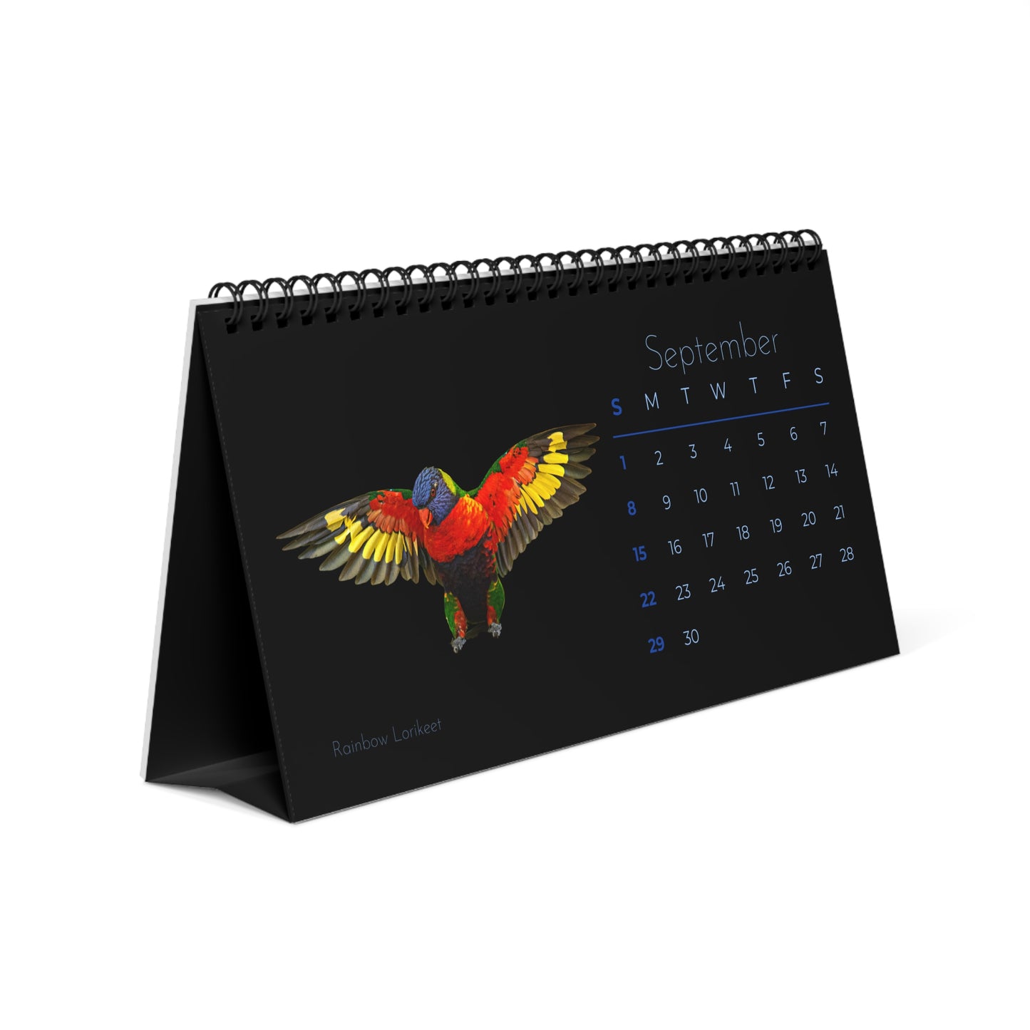 Brilliant Birds of 2024 Desk Calendar