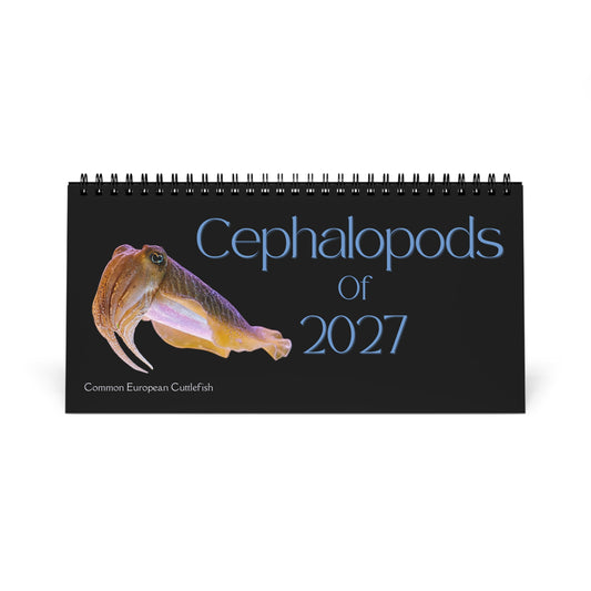 Cephalopods of 2027 Desktop Calendar