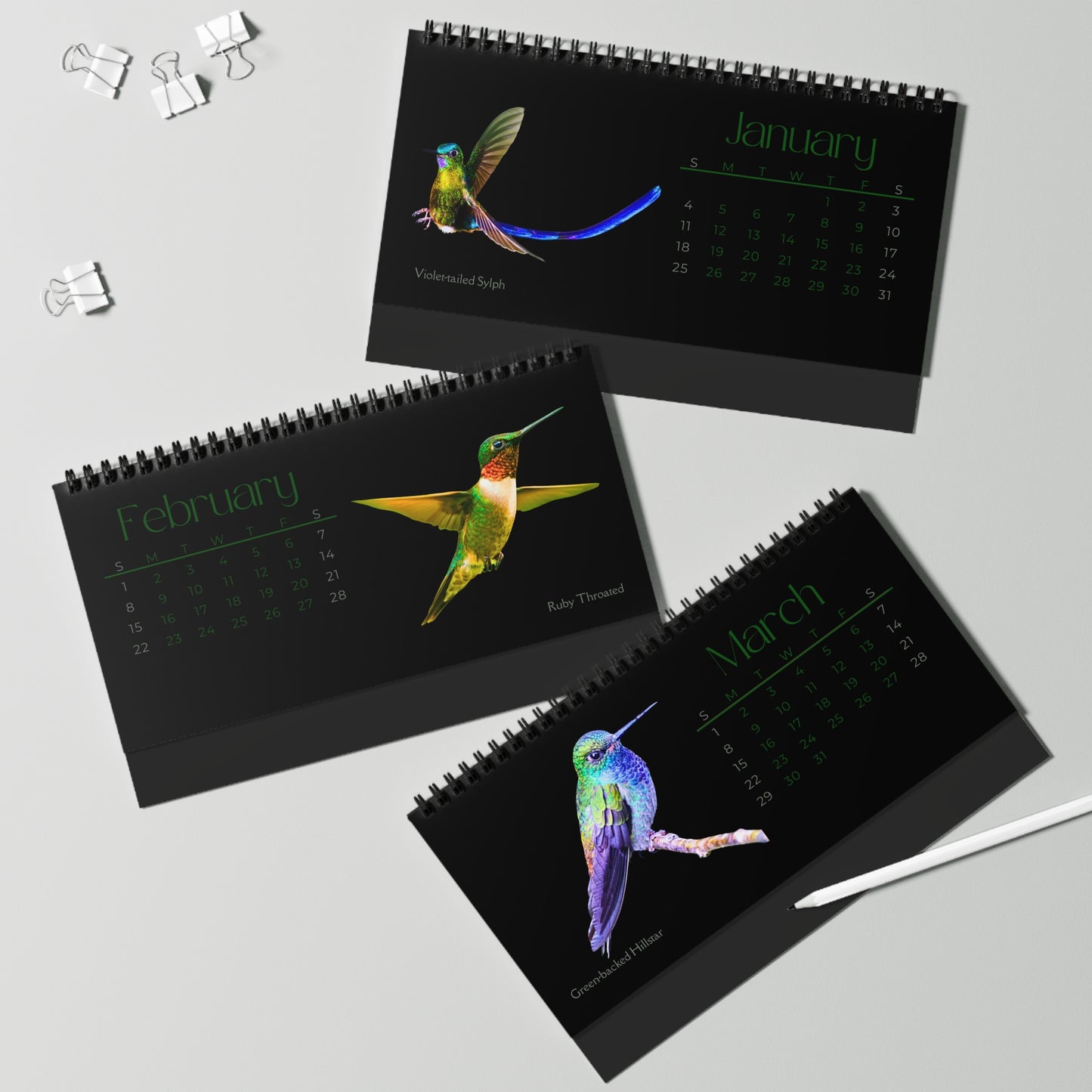 Real Hummingbirds of 2026 Desktop Calendar