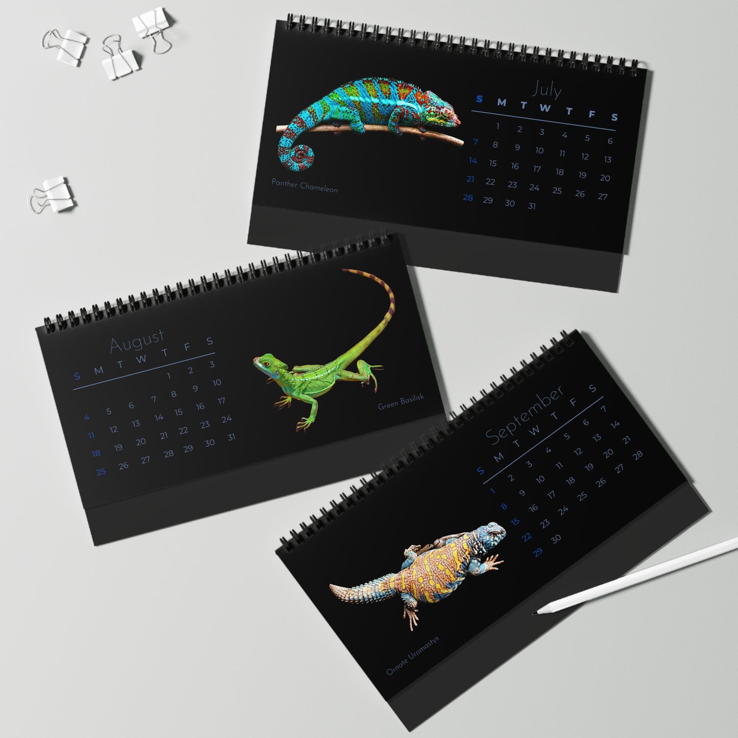 Legendary Lizards of 2024 Desk Calendar