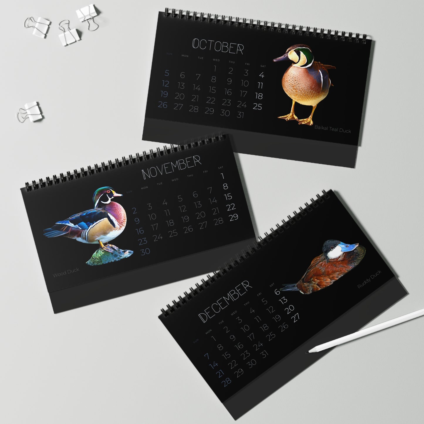 Dapper Ducks of 2025 Desktop Calendar