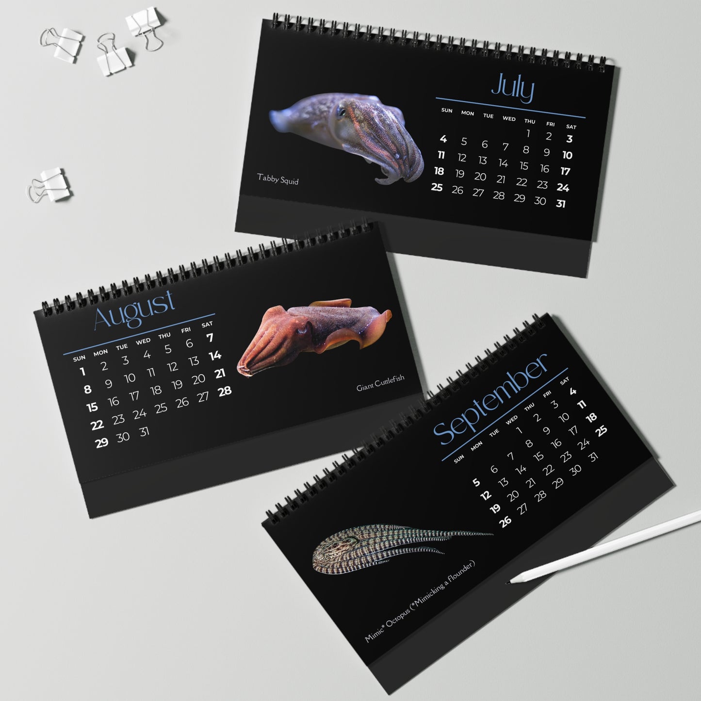 Cephalopods of 2027 Desktop Calendar