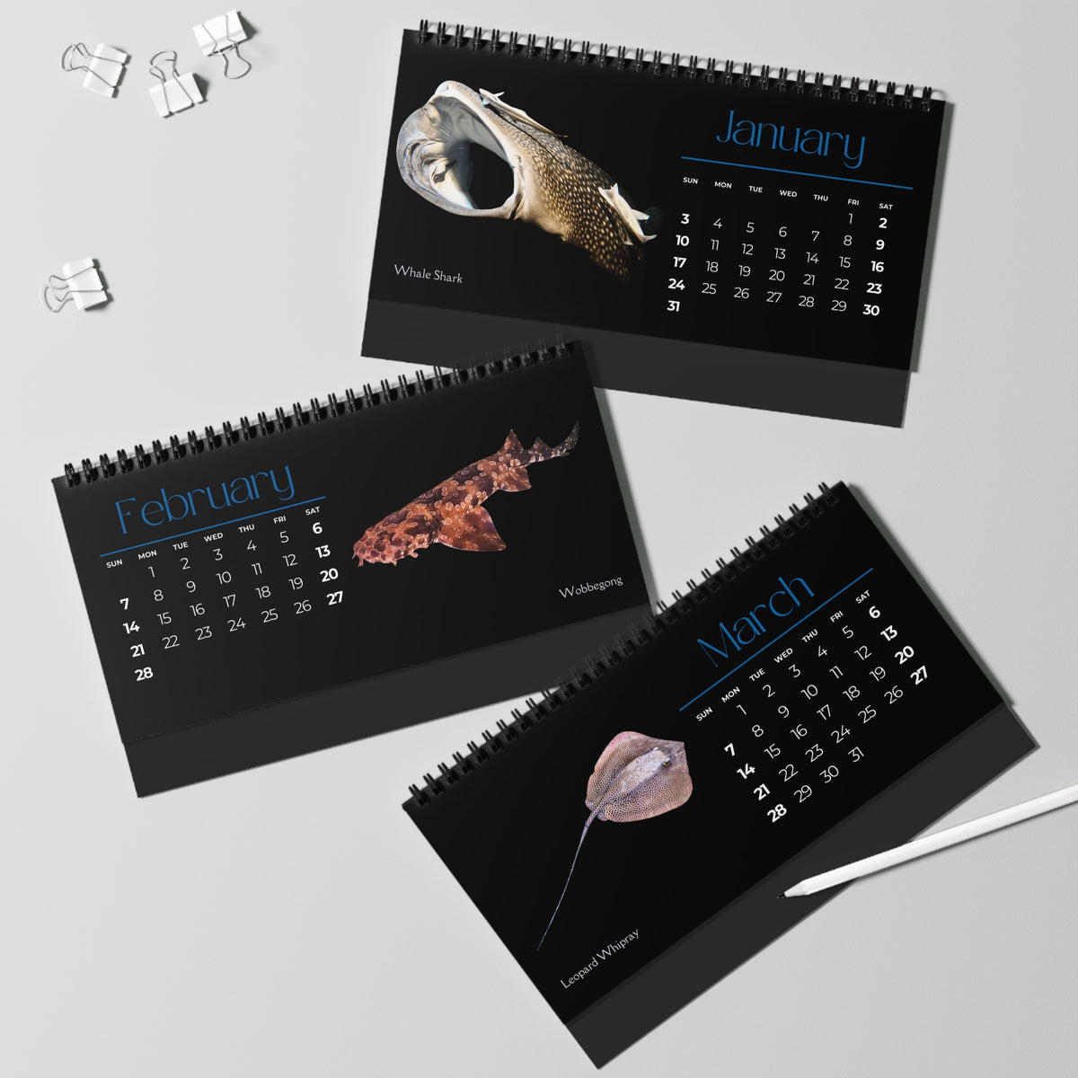 Sharks & Rays of 2027 Desktop Calendar