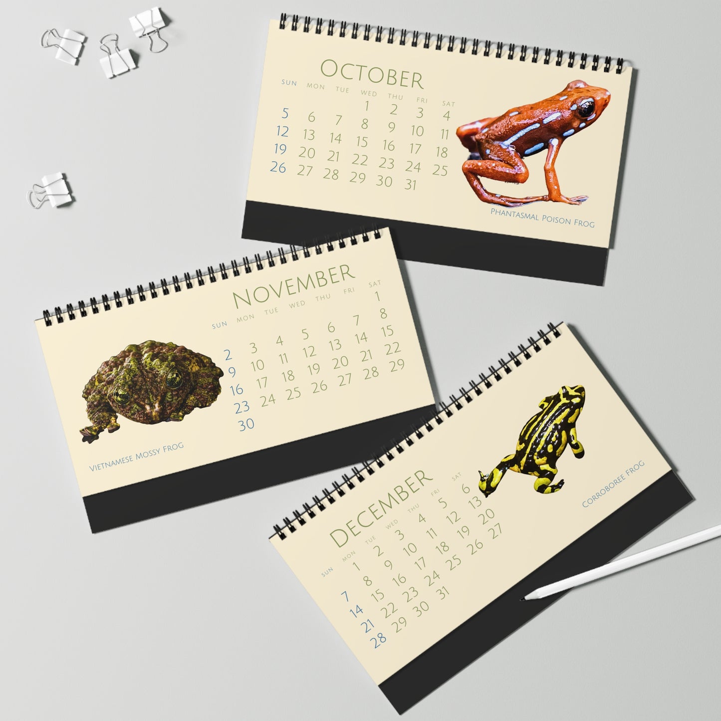 Frogs & Toads of 2025 Desktop Calendar