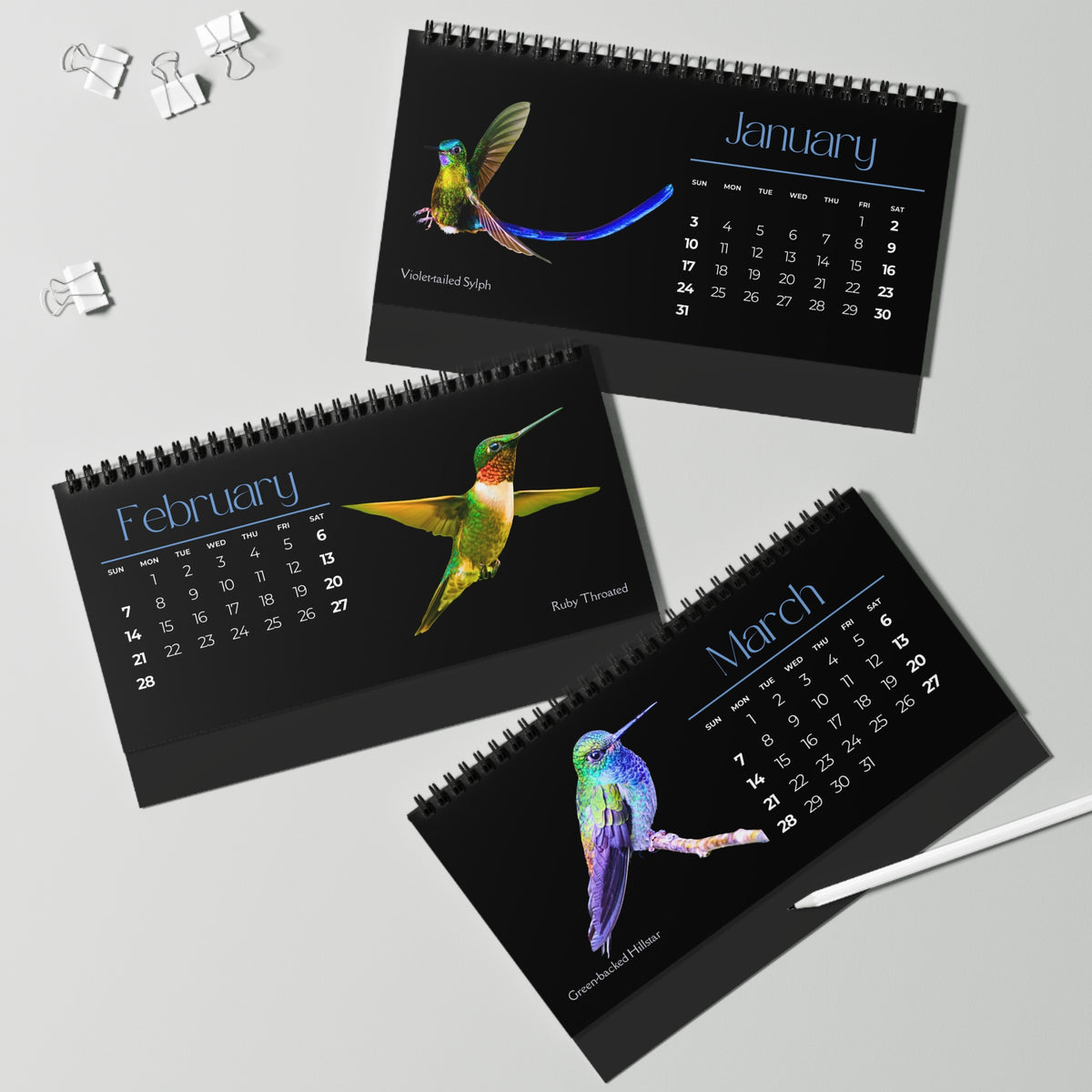 Real Hummingbirds of 2027 Desktop Calendar