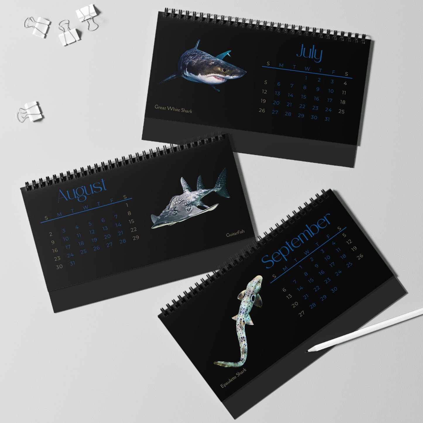 Sharks & Rays of. 2026 Desktop Calendar