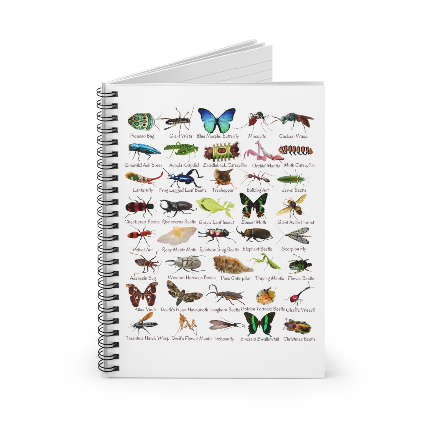 Impressive Insects Spiral Notebook - Ruled Line