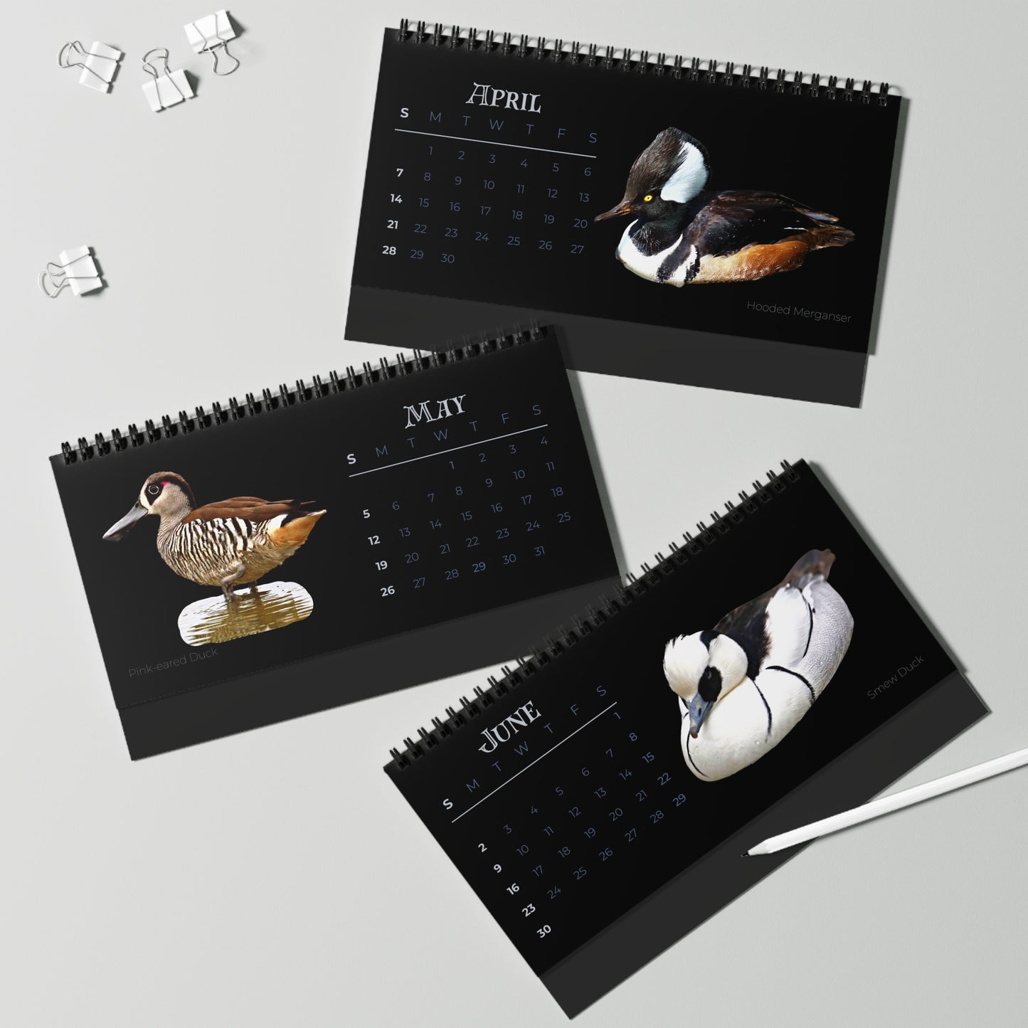 Dapper Ducks of 2024 Desktop Calendar