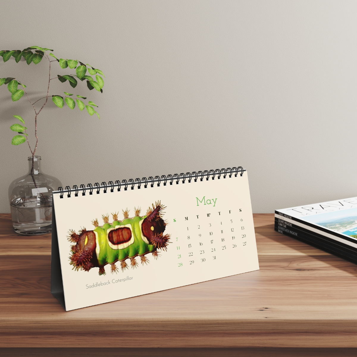 Incredible Insects of 20203 Desk Calendar