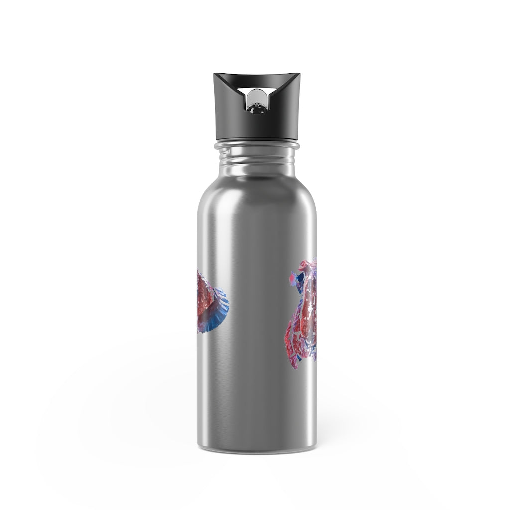 Dwarf Cuttlefish Stainless Steel Water Bottle With Straw, 20oz